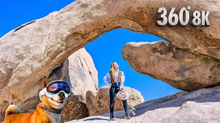 Explore Joshua Tree & Pioneertown in 8K 360° | Shot on Insta360 X4 for Quest 3 & Vision Pro
