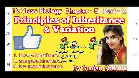 Principles of Inheritance/Part - 2/ 5 Chapter / 12 Class Biology / NCERT Explaination
