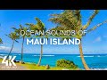 8 HOURS of Ocean Songs with Wind Sounds and Bird Chirping - 4K Tropical Beach, Maui island, Hawaii