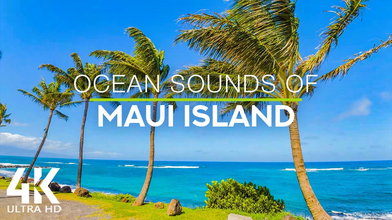 8 HOURS of Ocean Songs with Wind Sounds and Bird Chirping - 4K Tropical Beach  Maui island  Hawaii