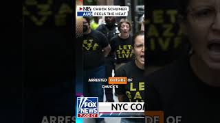 CHUCK SCHUMER FEELS THE HEAT | Jesse Watters Explains New York's Radical Political Shift
