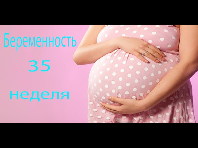 35 НЕДЕЛЯ БЕРЕМЕННОСТИ