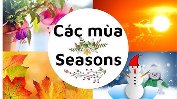 tiếng anh các mùa trong năm|các mùa trong năm bằng tiếng anh|các mùa trong tiếng anh