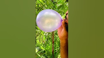 Ballon and coin eacy experiment 😯😍 #shots #experiment