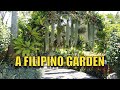 A filipino garden