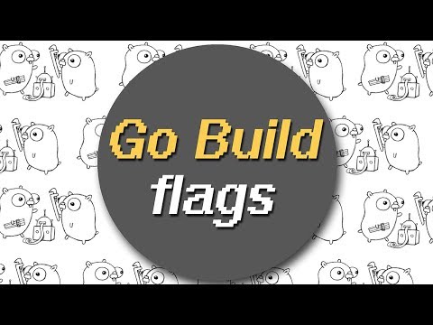 How to use Golang build flags