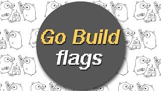 How to use Golang build flags