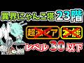 【にゃんこ大戦争】異界にゃんこ塔23階を本能なし低レベルで攻略！【The Battle Cats】