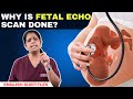 Why is fetal echo scan done       