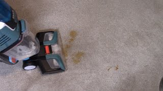 Real-Life Review of Shark CarpetXpert EX205 Deep Carpet Cleaner w/ StainStriker Costco Item 1747379