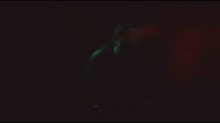 Download Lagu Story Wa reggae The Paps MP3