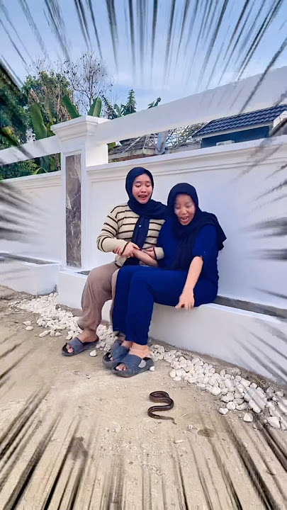 Ular atau Belut?