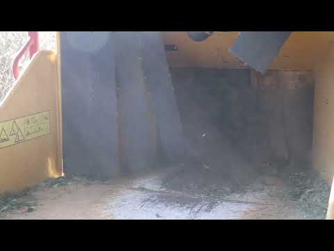 Impulsan retiro responsable de árboles navideños en Tlaquepaque