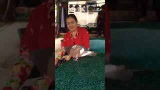 Pigeon love #pegion #birds #farm  #trendingshorts #ytshorts #shorts #farming #animals