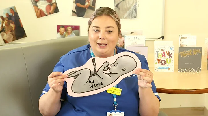 Antenatal 1 - Health in pregnancy