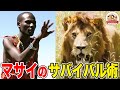 マサイの牛飼いはなぜ、ライオンに遭遇しても動じないのか?サバンナの猛獣サバイバル術!【どうぶつ奇想天外/WAKUWAKU】