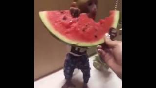 Cute Little Monkey Eating A Watermelon