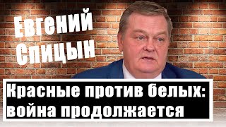 Историк Евгений Спицын: Как итоги гражданской войны повлияли на будущее Украины?