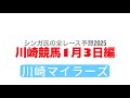 1月3日川崎競馬【全レース予想】2025川崎マイラーズ