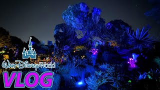 Most MAGICAL Thing Ive EVER seen at Walt Disney World | VLOG | December 2025