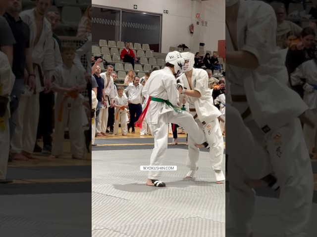 WKB Spanish Open 2026 #kyokushin #shinkyokushin #karate #1kyokushin #一極真 #極真会館