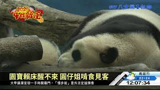 圓寶初一睡個飽 大家走春看圓寶 八大民生新聞 2021021202