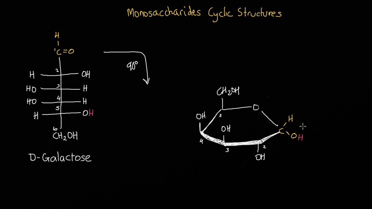 How Many Monosaccharides Can Form If This Polysaccharide Breaks Up ...