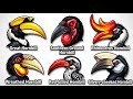 Every Type OF Hornbill Explained In 4 Minutes