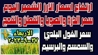 سعر الارز الشعير اليوم اسعار السمسم والفاصولسا والصويا والقطن والبرسيم والقمح والذرة