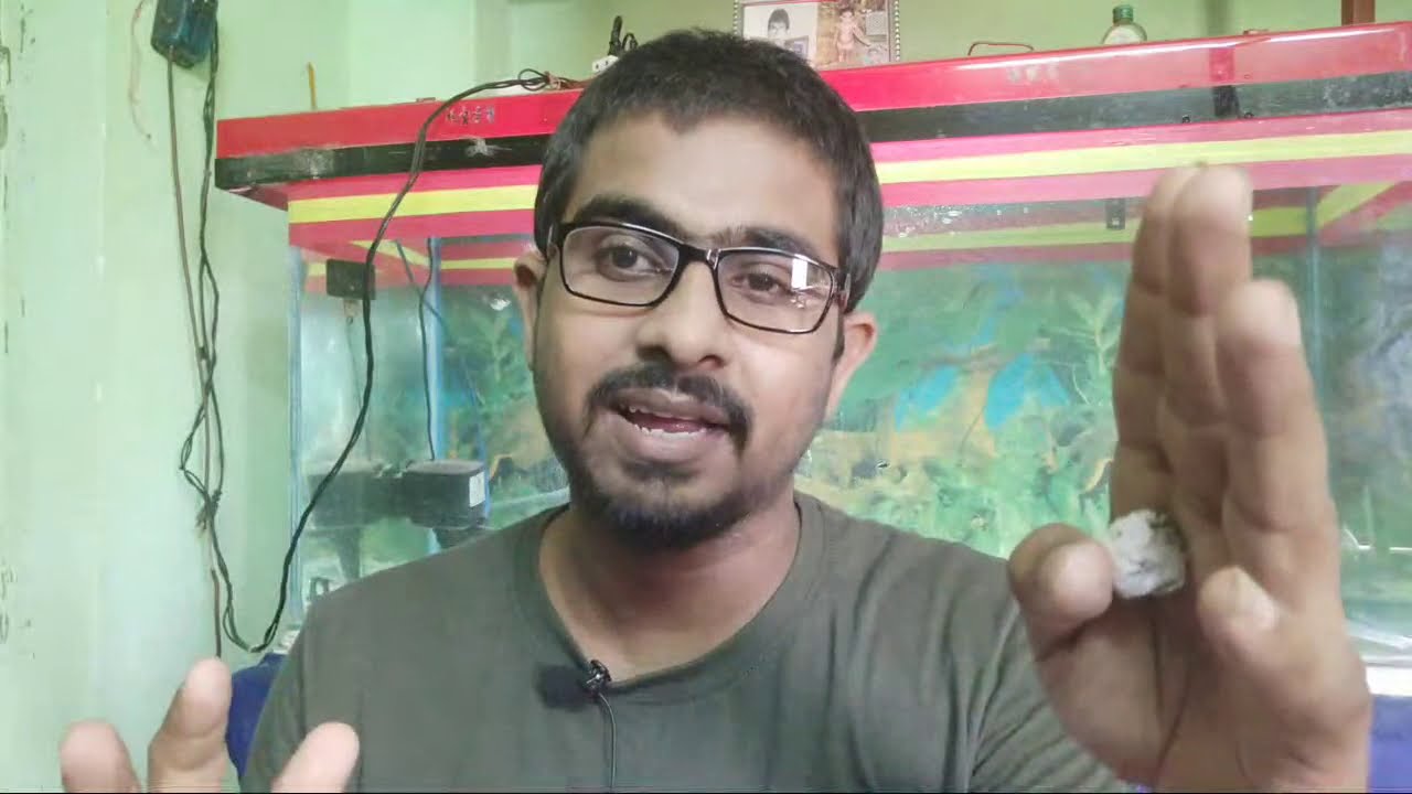 How To Maintain Planted Aquarium Basic Rules YouTube