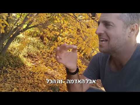 וִידֵאוֹ: מהם שיחים נשירים?