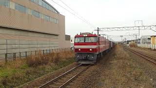 道南いさりび鉄道 七重浜駅 EH800牽引 3067レ コンテナ満載で高速通過