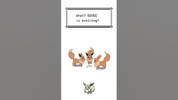 Eevee Evolves Into Vaporeon, Jolteon and Flareon - Pokemon Evolution Animation