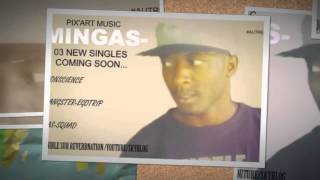 MINGAS conscience