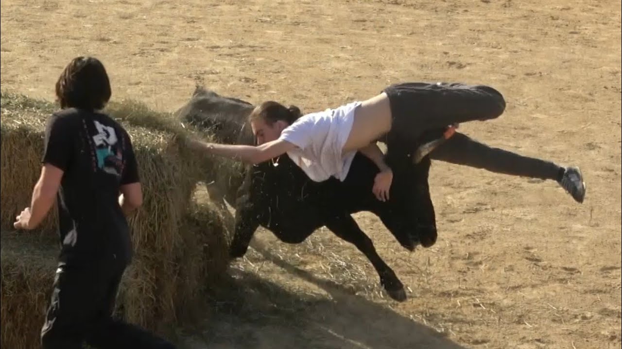 ST RÉMY DE PROVENCE COURSE DE VACHE 30.10.22