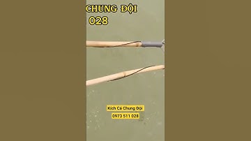 #64 Test Thực Tế Kích Cá Rô Phi Nước Sâu Kích Cá 25Đ - Máy Kích Cá Chung Đội Hưng Yên