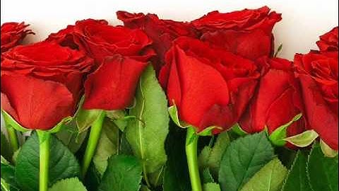 Dhanyan Vinman............