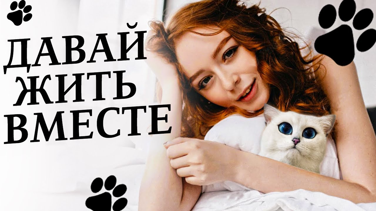 Миша борз — ImgHub.ru