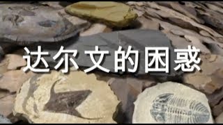 Darwin’s Dilemma – Mandarin Chinese 达尔文的困惑