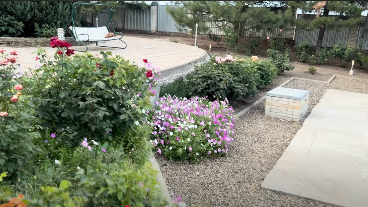 210. У родителей на даче, встреча с подписчиками в Таганроге.