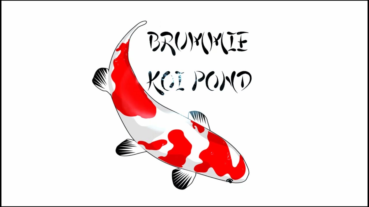 New Skimmer, Cyclone Filter Mod & Smart Auto Feeder