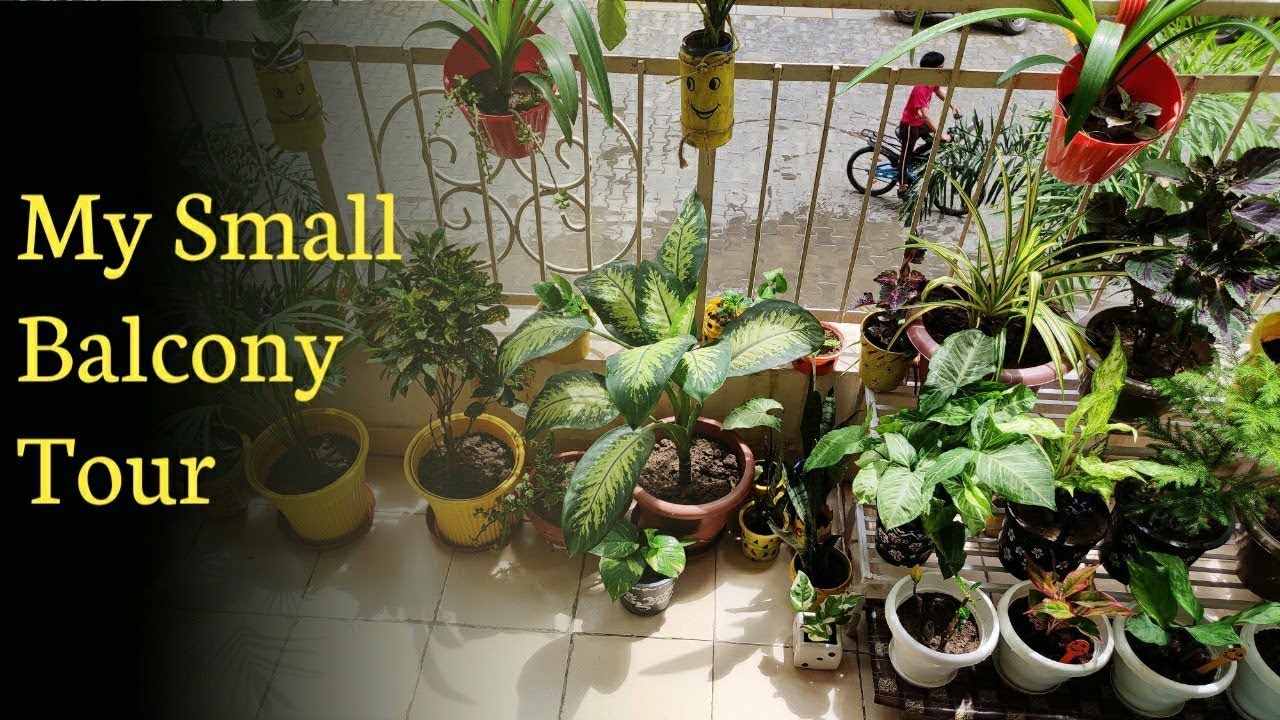 My Small Balcony Tour (Hindi)