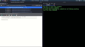 PentesterLab Command Injection Example3