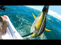 CATCH & COOK: Yellowfin Tuna Fishing in Panama | Field Trips with Robert Field