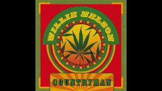 Willie Nelson - I've Just Destroyed The World (2005)