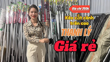Kéo cắt cành trên cao 3m-4m-5m chính hãng cắt cành ghim quả trên cao tiện lợi . Thanh lý giá rẻ