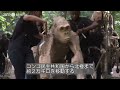 実物大の野生動物パペット団、アフリカから北極へ 気候変動を訴える旅（2025年4月撮影）