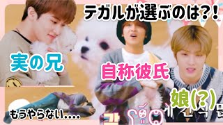 【NCT】テガルは愛されすぎて困っテイル【日本語字幕】