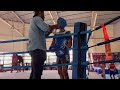 MIXED BOXING --BLUE--LOST