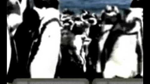 Video-based self-service portals (video greeting)